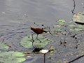 DSC03814