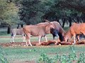 DSC03881