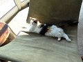 DSC04174