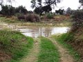 DSC04201