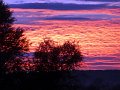 DSC04284