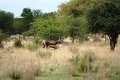 DSC06010