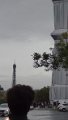 DSC00617