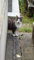 DSC00668