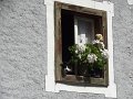 DSC04936