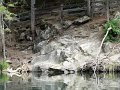 DSC04946