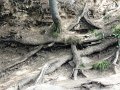 DSC04947