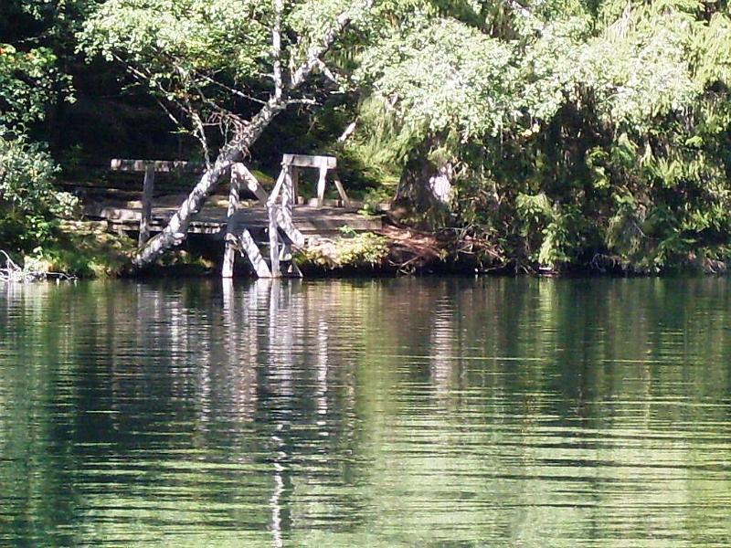 SDC11545.JPG