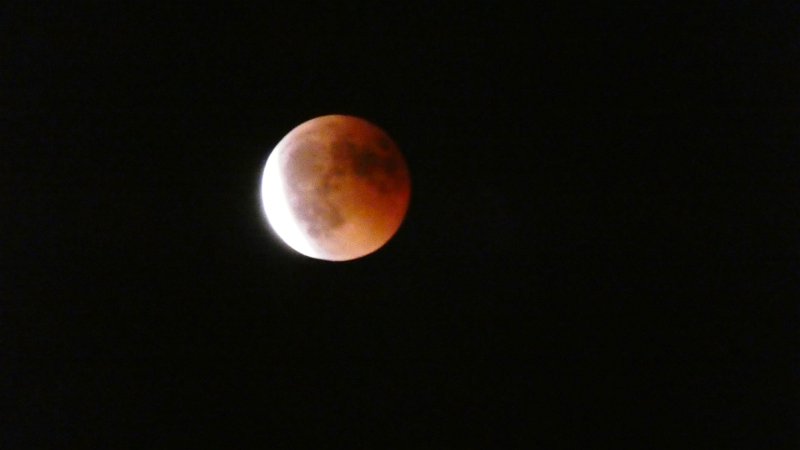 P1000436.JPG