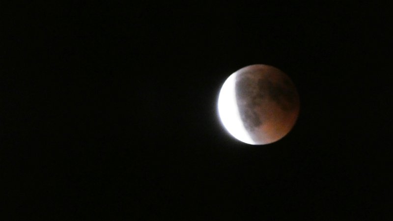 P1000444.JPG