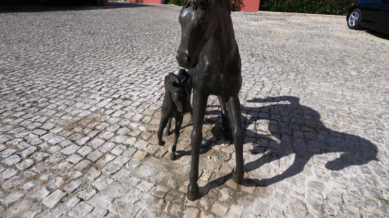 P1000472.JPG