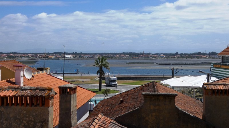 P1000558.JPG