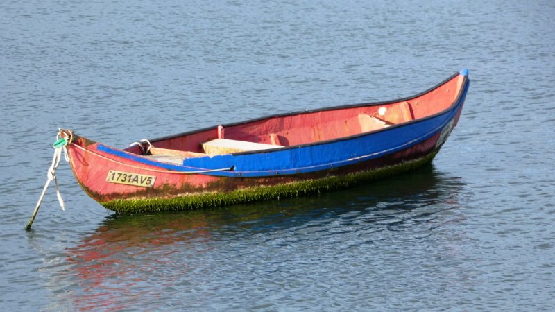P1000617.JPG