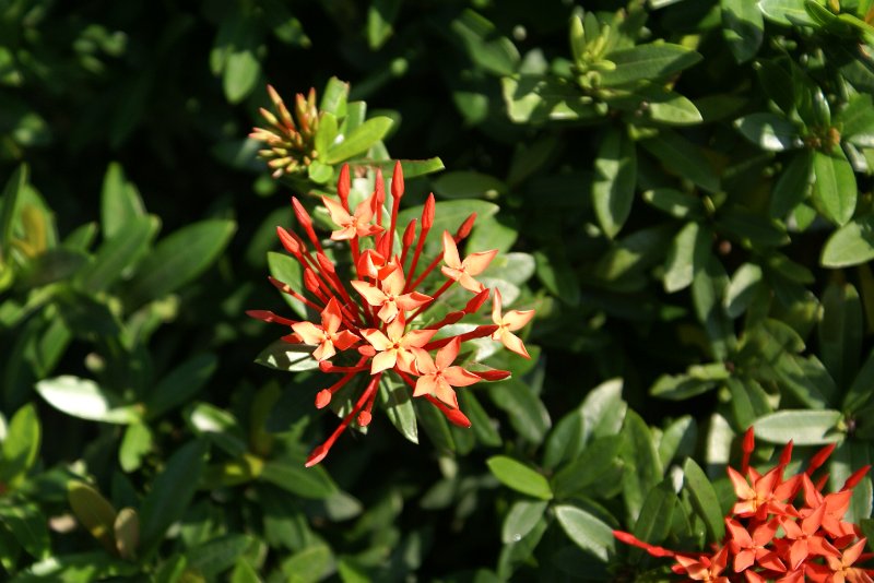 DSC03540.JPG