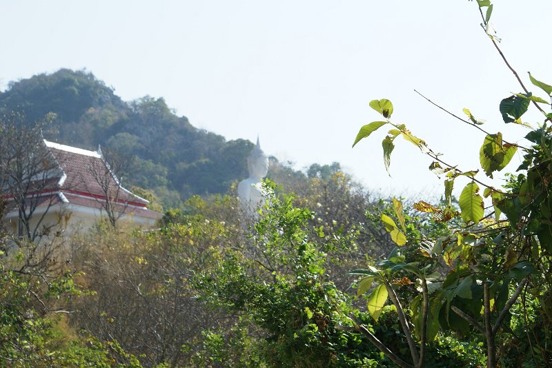 DSC03600.JPG