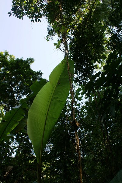 DSC04197.JPG