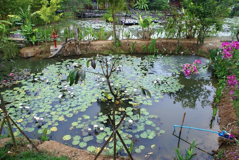DSC04250.JPG