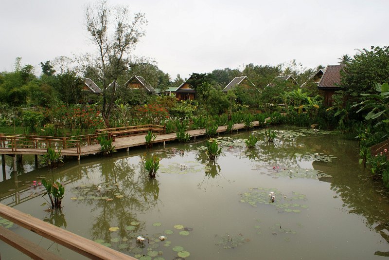 DSC04265.JPG
