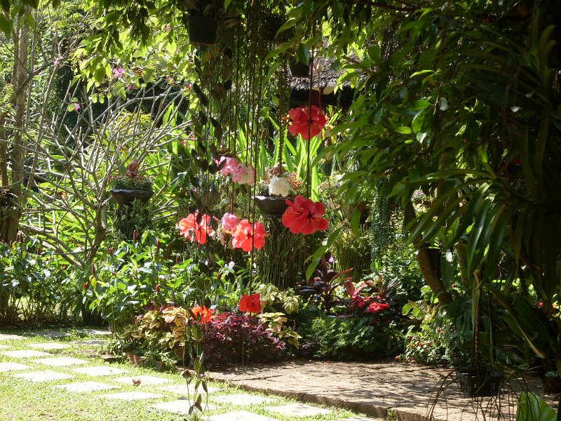SDC12715.JPG