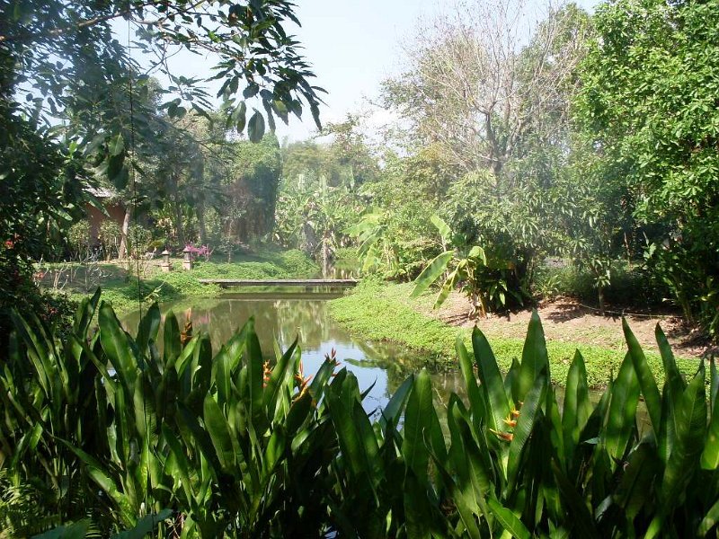 SDC12723.JPG