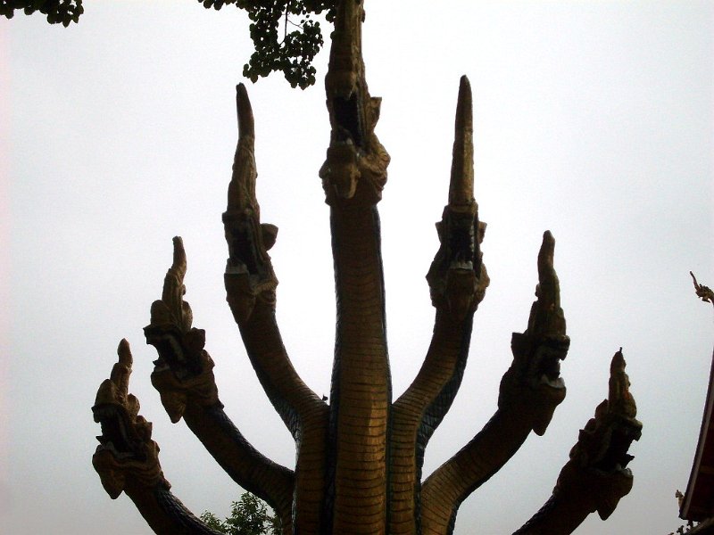 SDC12869.JPG