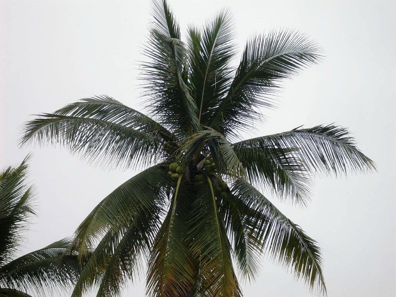 SDC12880.JPG