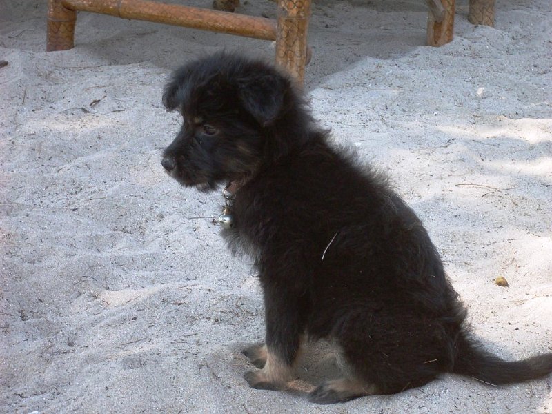 SDC13007.JPG