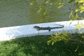 DSC03535