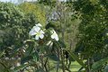 DSC03539