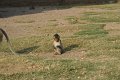 DSC03556
