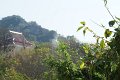 DSC03600