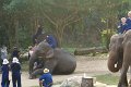 DSC03660