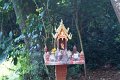 DSC03955