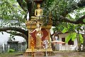 DSC04052
