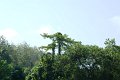 DSC04172