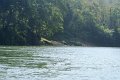 DSC04191