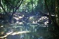 DSC04195