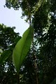 DSC04197