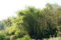 DSC04216