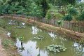 DSC04237