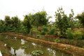 DSC04244