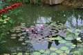 DSC04254