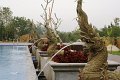 DSC04258
