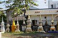 DSC04311