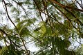 DSC04355