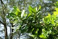 DSC04370