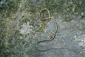 DSC04439