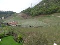 DSC01933