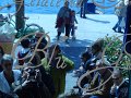 DSC01986