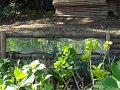 DSC01991